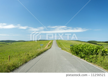 Straight road 11256521