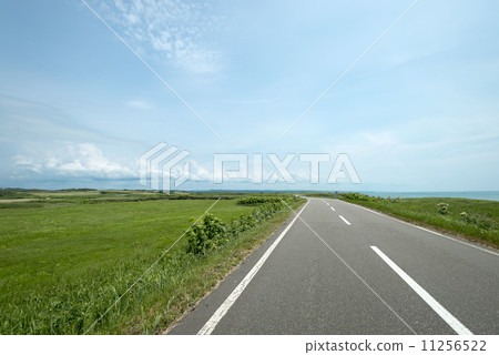 Straight road Straight road 11256522
