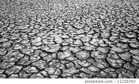 Drought land, warming global 11256765