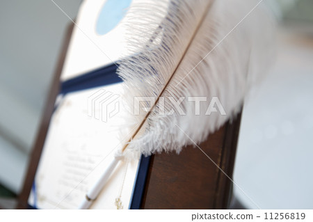 Bridal 11256819