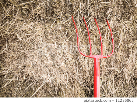 Pitchfork in farm Pitchfork in farm 11256863