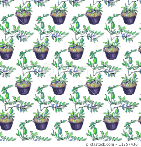 Sketch vector of lemon tree 11257436