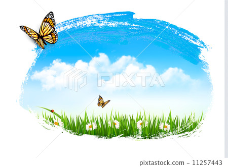 Nature background with green grass, flowers and a butterfly. Vec 11257443