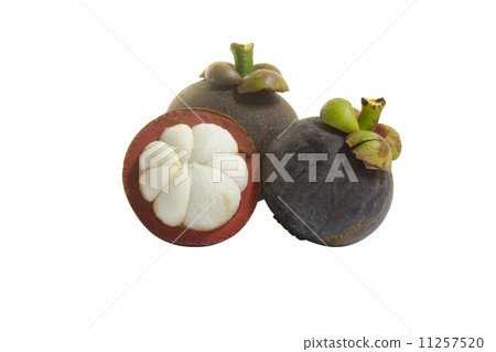 fresh mangosteen 11257520