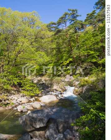 Special scenic spot Mitake Kaijyo Gorge 11257563