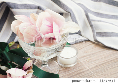 fres magnolia flowers fres magnolia flowers 11257641