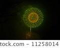 Fireworks 11258014