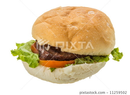 Hamburger 11259502