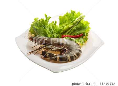 Tiger prawn Tiger prawn 11259548