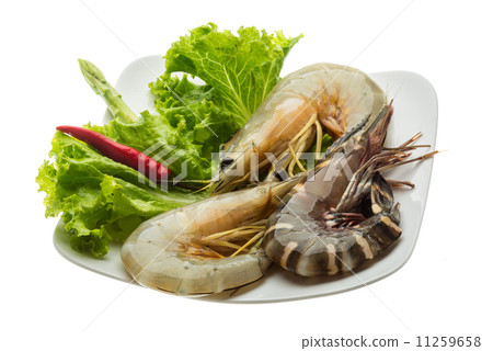 King and waterleg shrimps King and waterleg shrimps 11259658