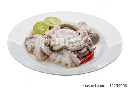 Raw octopus Raw octopus 11259668