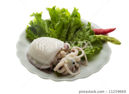 Boiled cuttlefish Boiled cuttlefish 11259669