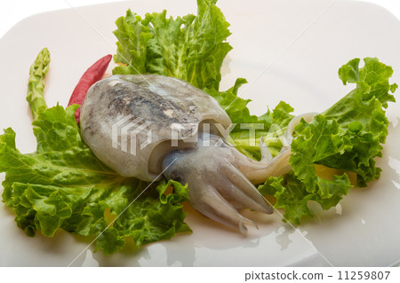 Raw cuttlefish Raw cuttlefish 11259807