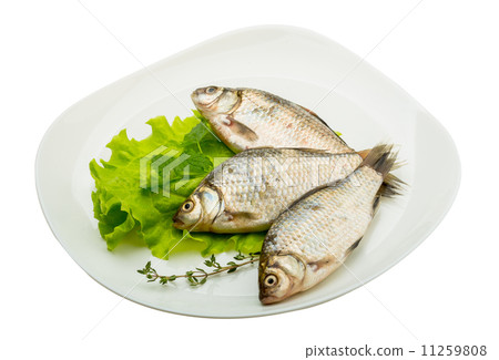 Crucian fish Crucian fish 11259808