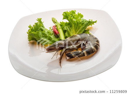 Tiger prawn Tiger prawn 11259809