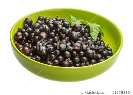 Black currant Black currant 11259810
