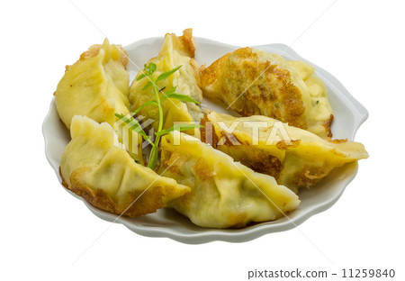 Japan dumplings - gyoza Japan dumplings - gyoza 11259840