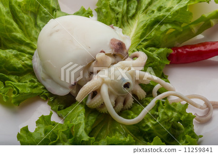 Boiled cuttlefish Boiled cuttlefish 11259841
