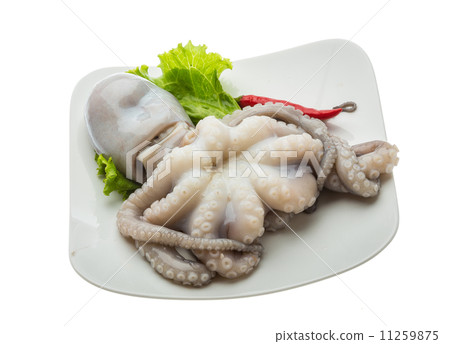 Raw octopus Raw octopus 11259875
