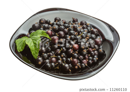 Black currant 11260110