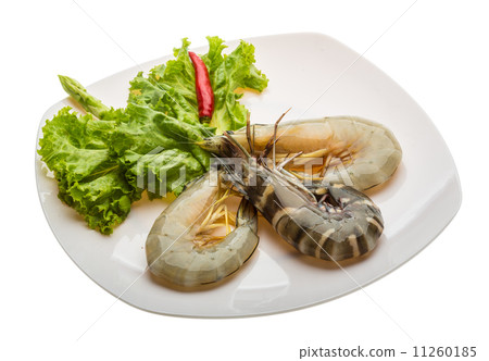 King and waterleg shrimps King and waterleg shrimps 11260185
