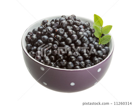 Blueberry 11260314