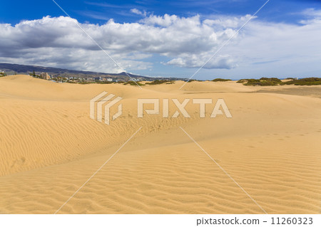 Maspalomas Duna - Desert in Canary island Gran Canaria Maspalomas Duna - Desert in Canary island Gran Canaria 11260323