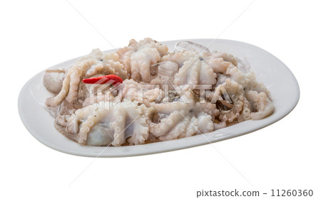 Raw octopus 11260360