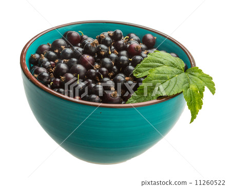 Black currant 11260522