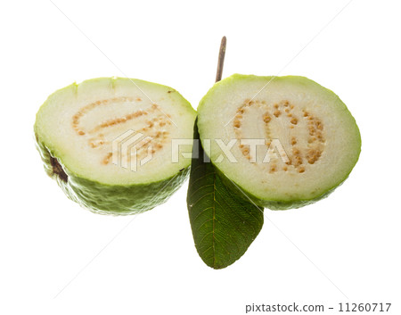 Guava 11260717