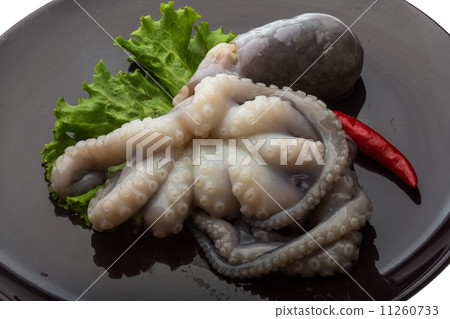 Raw octopus Raw octopus 11260733