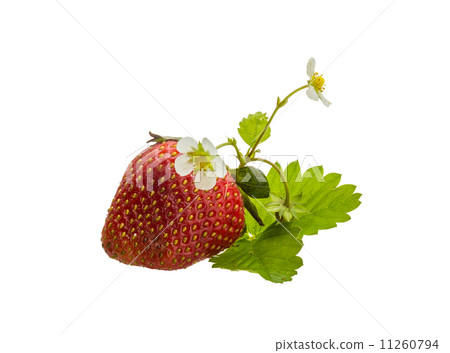 Ripe strawberry 11260794