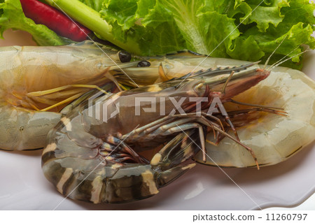 King and waterleg shrimps King and waterleg shrimps 11260797