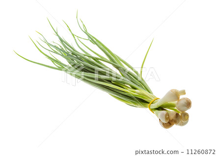 Green onion 11260872