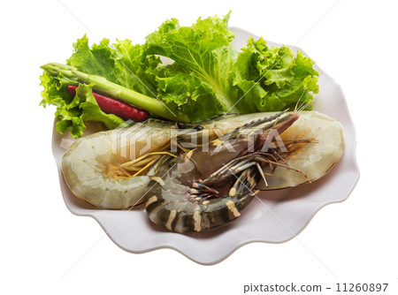 King and waterleg shrimps King and waterleg shrimps 11260897