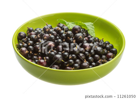 Black currant Black currant 11261050