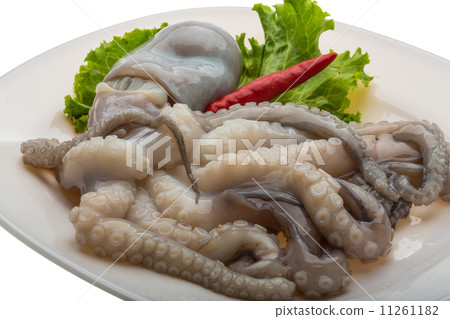 Raw octopus Raw octopus 11261182