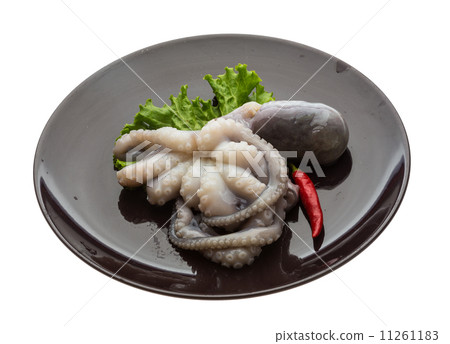 Raw octopus 11261183