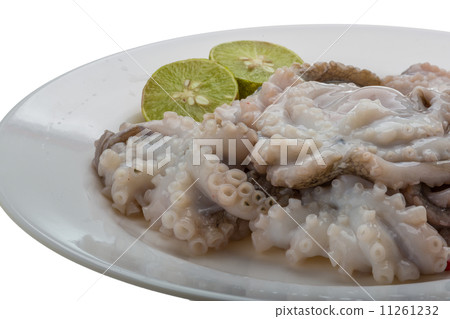 Raw octopus 11261232