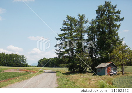 Road IMG_ 4540 11262322