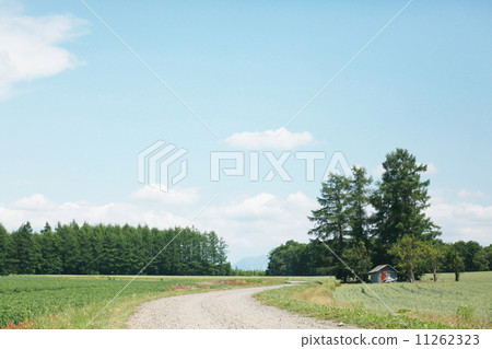 道路IMG_4552 11262323