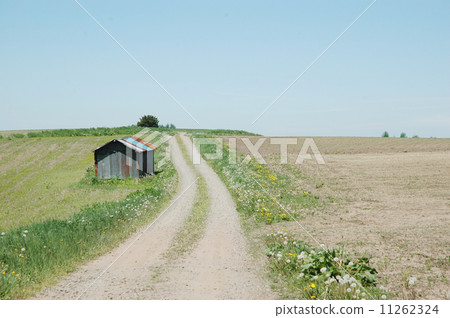 道路DSC_8157 11262324