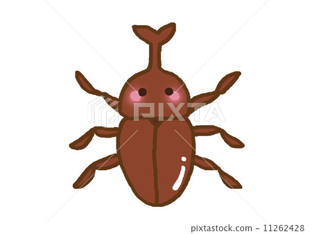 Beetle Beetle 11262428