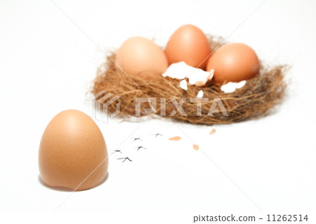 Egg running away from group 11262514