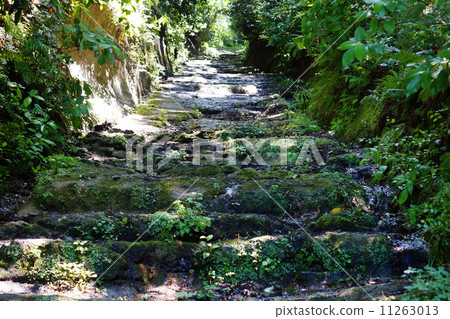 Asahina Kokyoshi 11263013