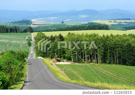 July Rural scene 44 Honorable hill July Rural scene 44 Honorable hill 11263853