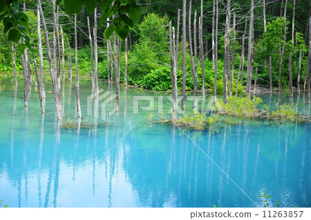 July Landscape · Blue pond 08 Biei town platinum 11263857