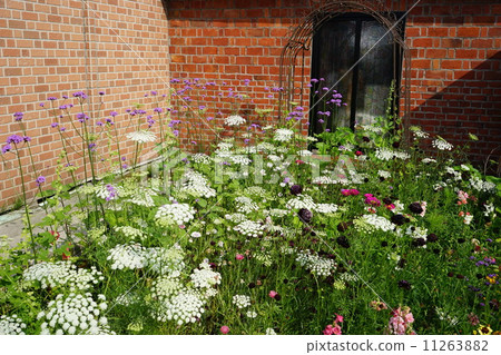 July Flower Toei · Seri 03 July Flower Toei · Seri 03 11263882