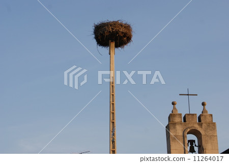 Spanish stork nest 11264017