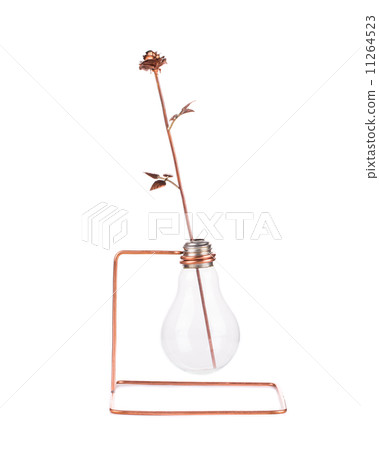 Light bulb suspended on metal wire. 11264523
